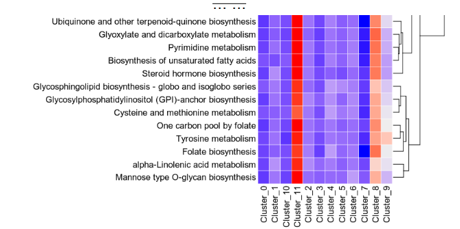 MetabolicPathwayActivity_heatmap