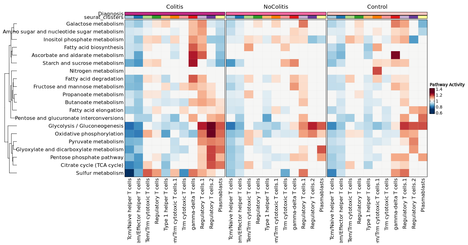 MetabolicPathwayActivity_merged_heatmap