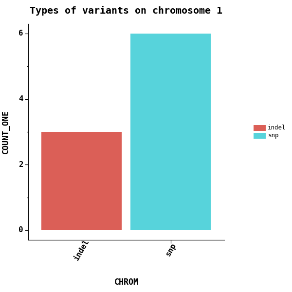 Types of variants on chromosome 1